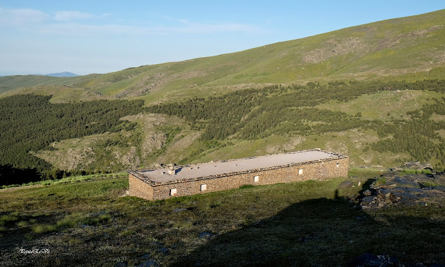 Sierra Nevada,  Aprisco de Mairena