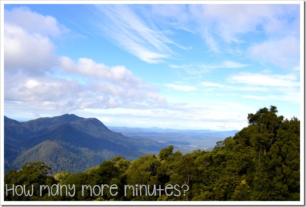 Dorrigo National Park | How Many More Minutes?