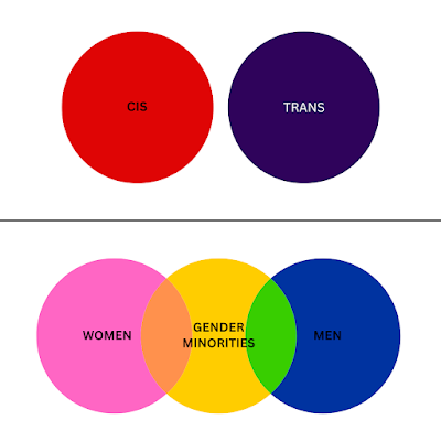 top: two independent circles. One labelled "cis", the other "trans". Bottom: Three circles labelled: "women, gender minorities, and men" where the central gender minority circle overlaps on each side with men and women