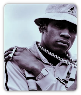 Mega Hip Hop: LL Cool J: Discografia