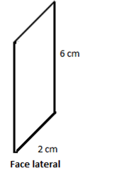 face lateral