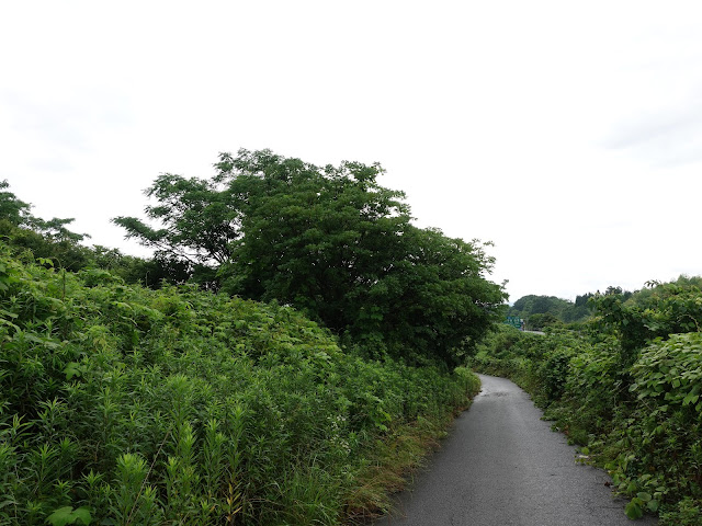 鳥取県米子市淀江町小波　高速道路沿いの道