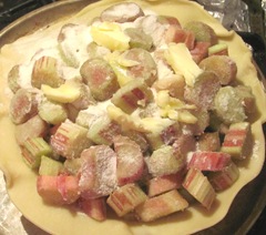 rhubarb pie in bottom shell unbaked