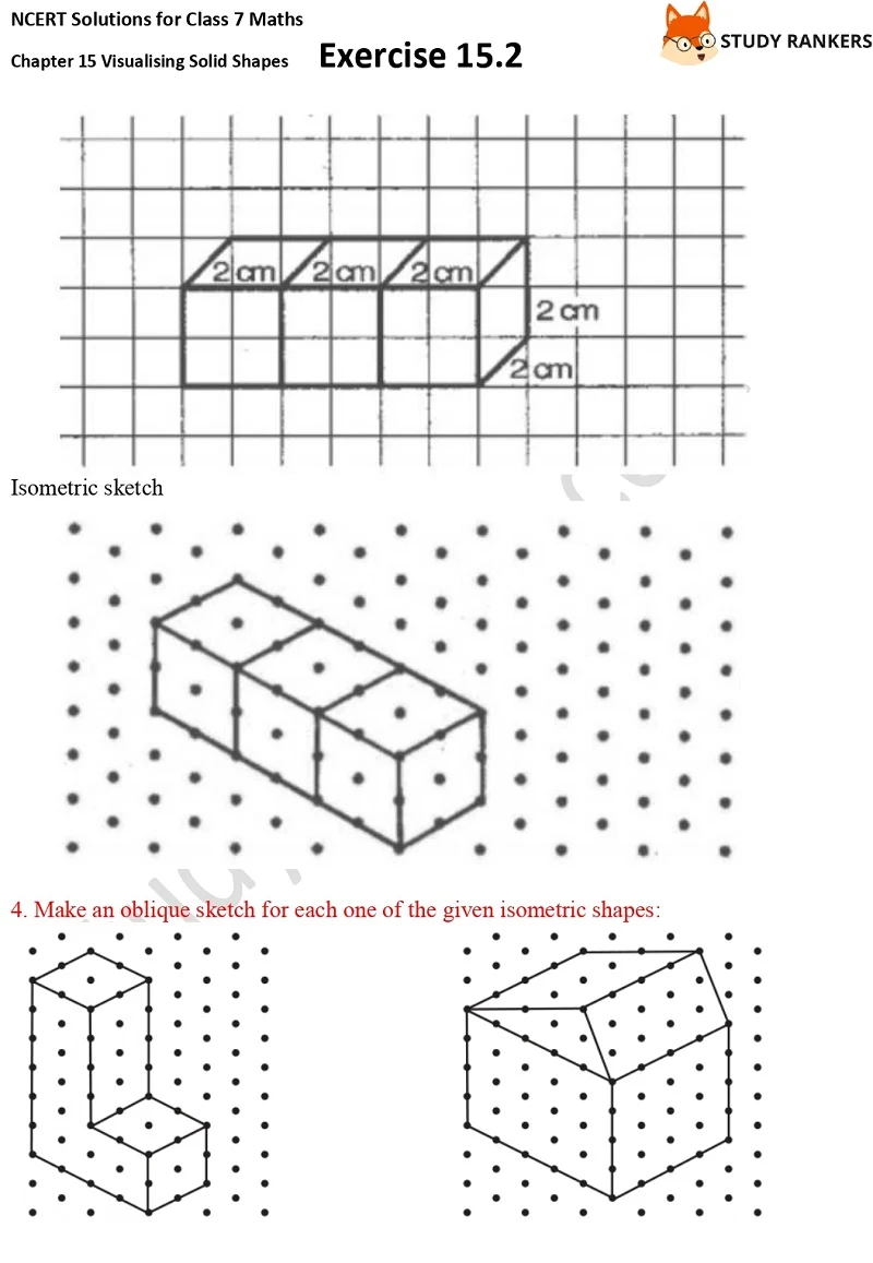 NCERT Solutions for Class 7 Maths Chapter 15 Visualising Solid Shapes Exercise 15.2 Part 3