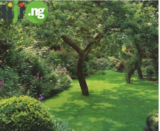 Landscape Ideas For Your garden