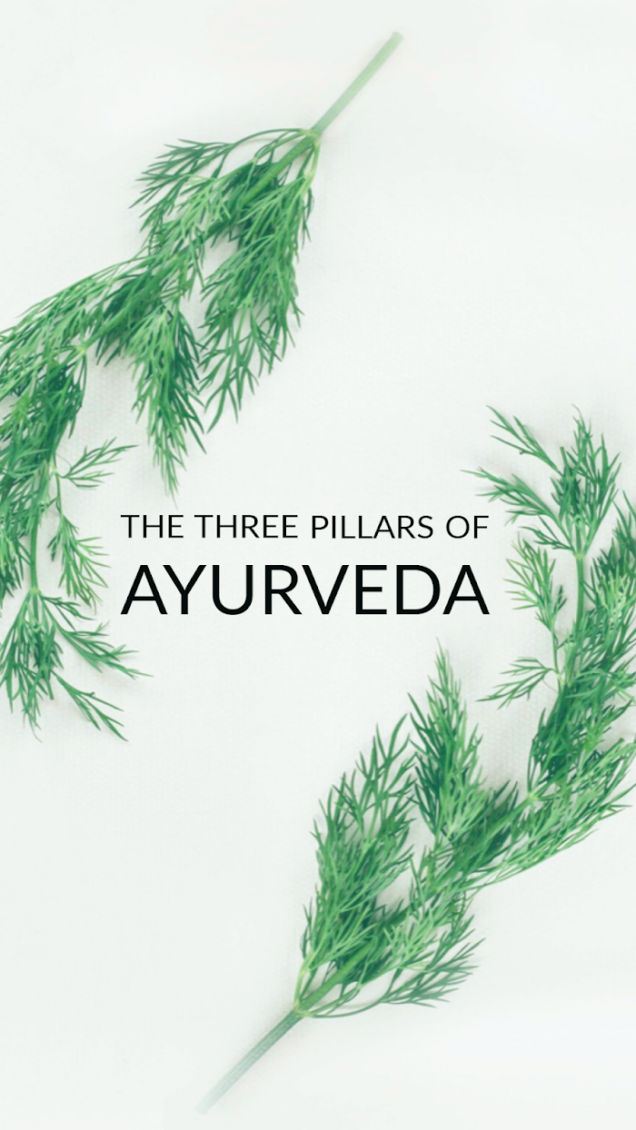 The Three Pillars of Ayurveda: Unlocking Holistic Wellness