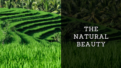 Natural beauty of Bali