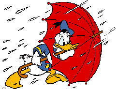 Donald Duck (16)