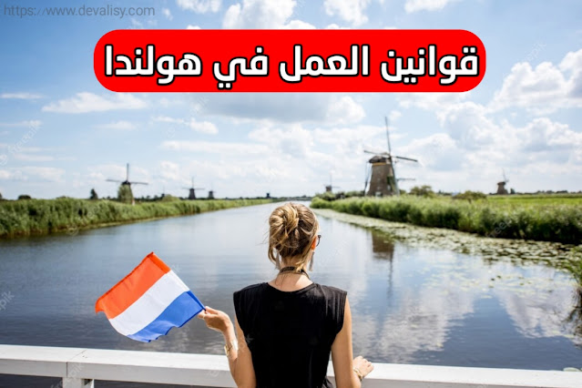 العمل في هولندا| قوانين العمل وتحديات البحث عن عمل