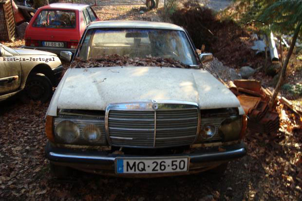 mercedes 220 240 w115 at 316 PM 