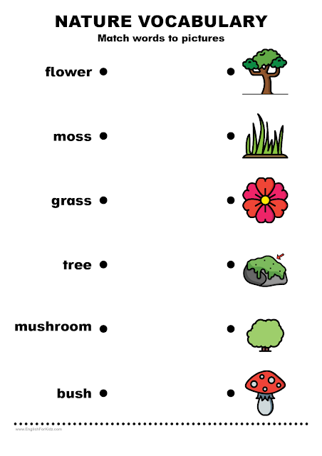 Nature vocabulary worksheet. Matching words to pictures.