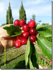 SAM_0254