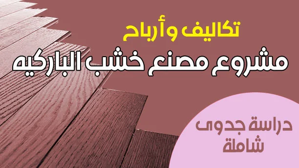 دراسة جدوى مشروع