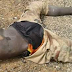 Troops Kill Scores Of ISWAP Terrorists In Borno, Recover 6 Gun Trucks