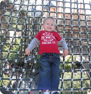 gus lays on the nets