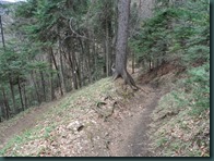 SAM_0352