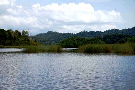 Mattop's blog: Misteri Lagenda Naga Tasik Chini