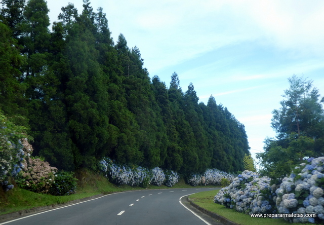 carretera isla San Miguel Azores