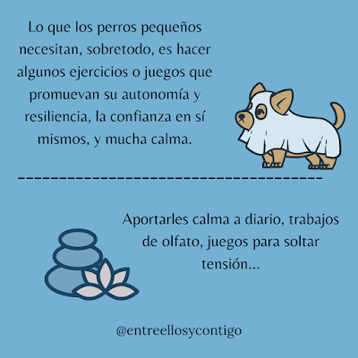 ¿Los perros pequeños son unos dramáticos?