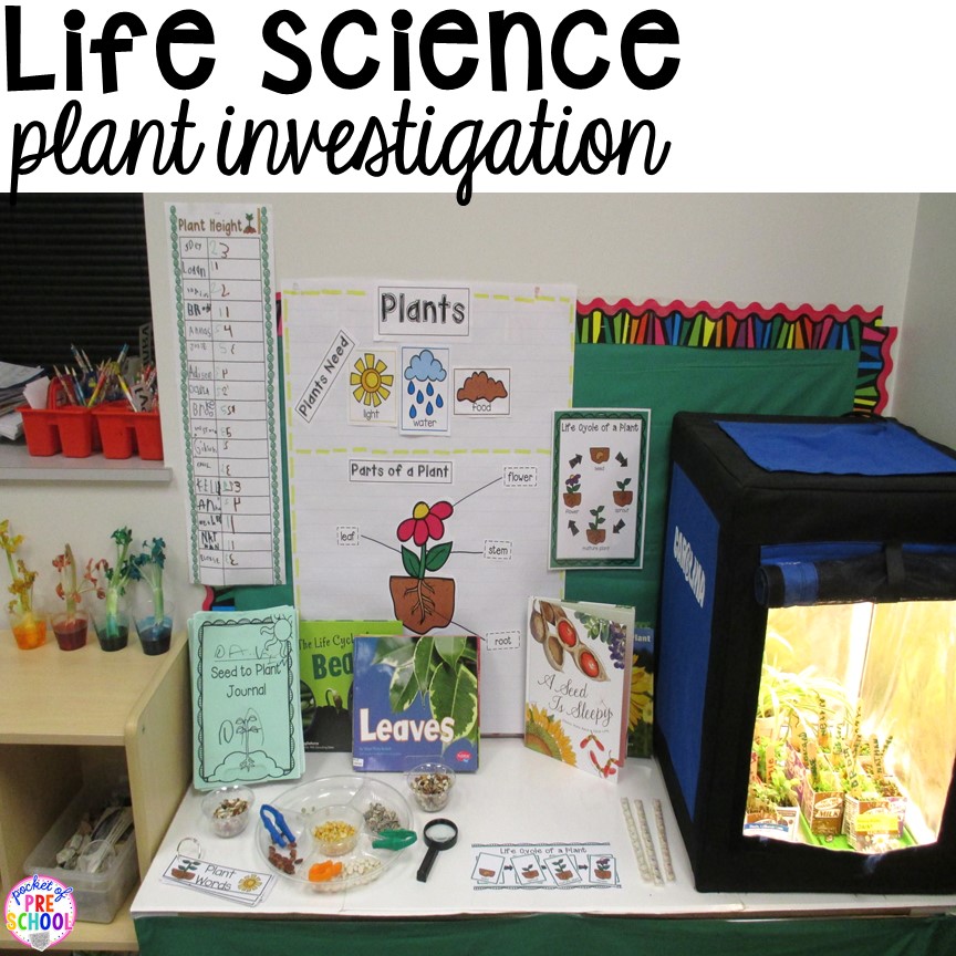 Download How to set up the Science Center in your Early Childhood ...