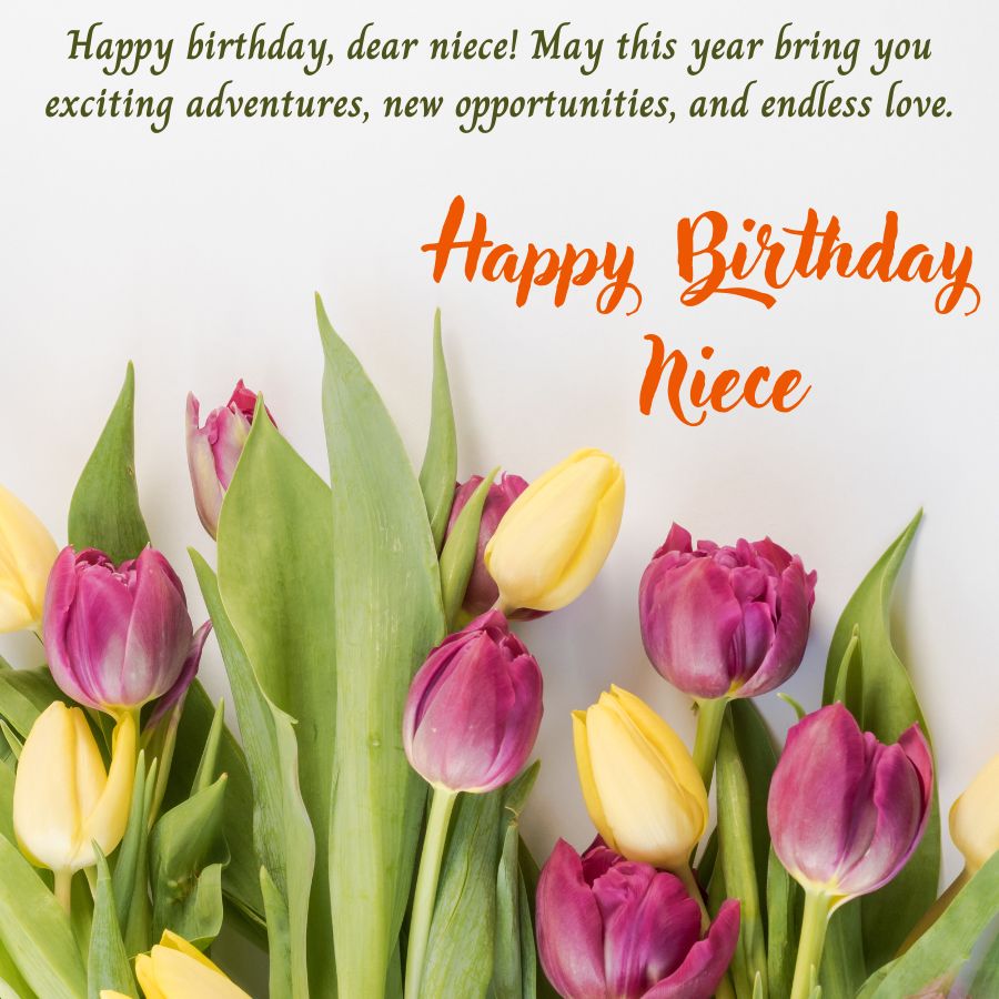 Vibrant Happy Birthday Niece Images with Wishes and Quotes