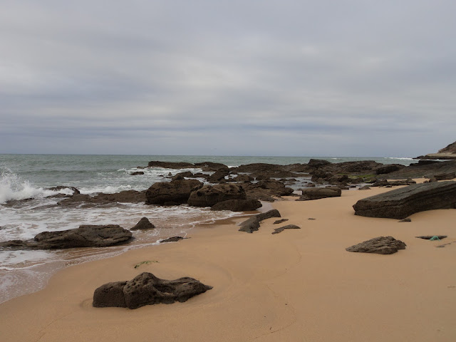 Rocky beach