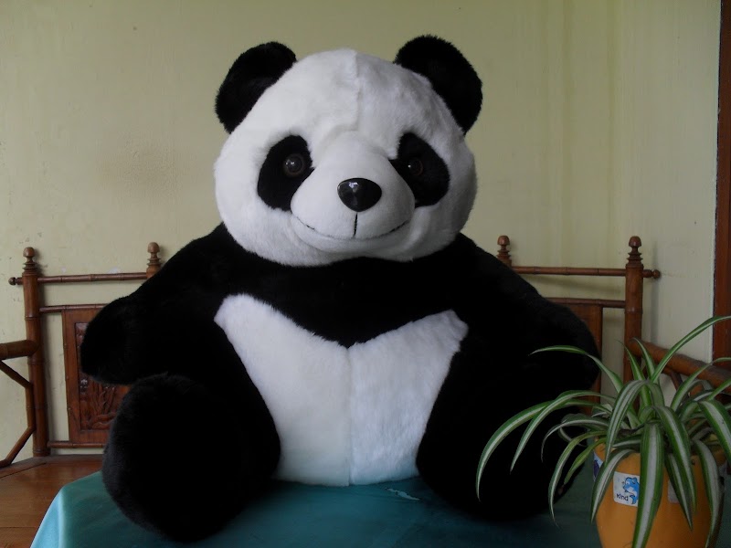 14+ Foto Boneka Panda Paling Lucu, Terpopuler!