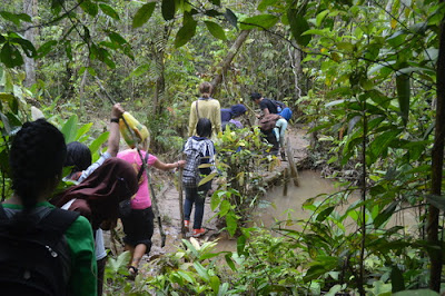 Tips jika akan melakukan perjalanan di Hutan