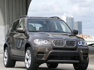 BMW X5 2011 (3)