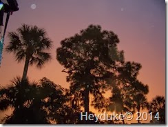 Fort Myers Beach Boat Ride 003