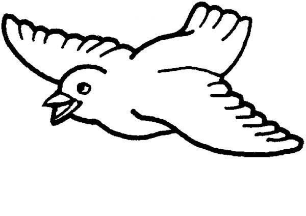 Top 12 Most Beautiful Bird Coloring Pages Free To Print Online