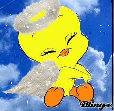 Tweety piolin en movimiento (10)
