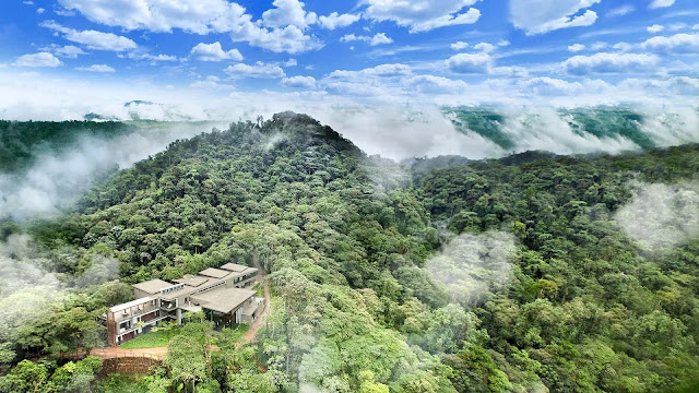 Mindo-Nambillo Cloud Forest