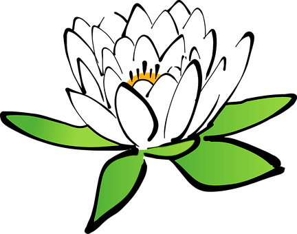 শাপলা ফুলের আকার - শাপলা ফুলের ছবি আর্ট - শাপলা ফুলের ছবি ফ্রি ডাউনলোড করুন - Shapla flower picture - নিওটেরিক আইটি - NoetericIT.com
