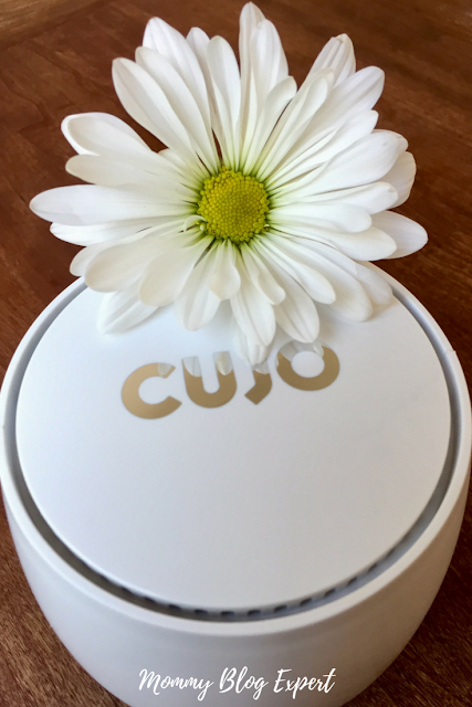 CUJO Smart Firewall Review