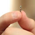 Microchips serão implantados em crianças