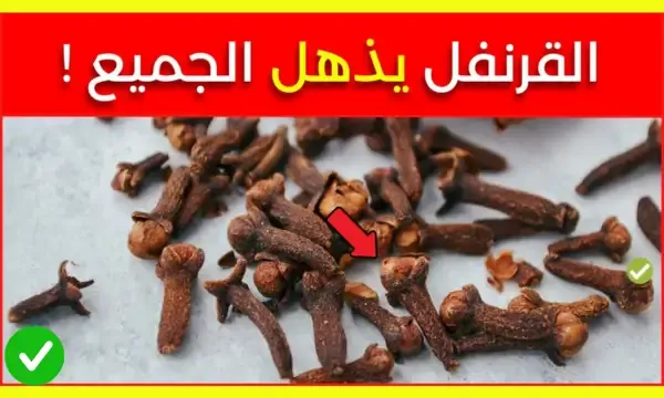 فوائد القرنفل المذهلة للرجال وللجنس