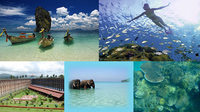 andaman nicobar tourist places pictures  places to visit in andaman in 3 days  andaman and nicobar islands best time to visit  andaman and nicobar islands monuments  things to buy in andaman  neil island  andaman tour pics  radhanagar beach