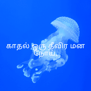 tamil quotes in one line