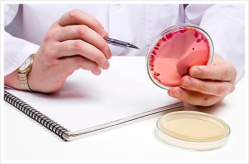 Mundo Maravilloso de la microbiologia