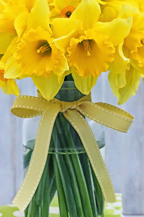 Daffodils