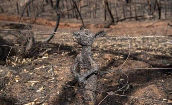 Kebakaran hutan dan lahan