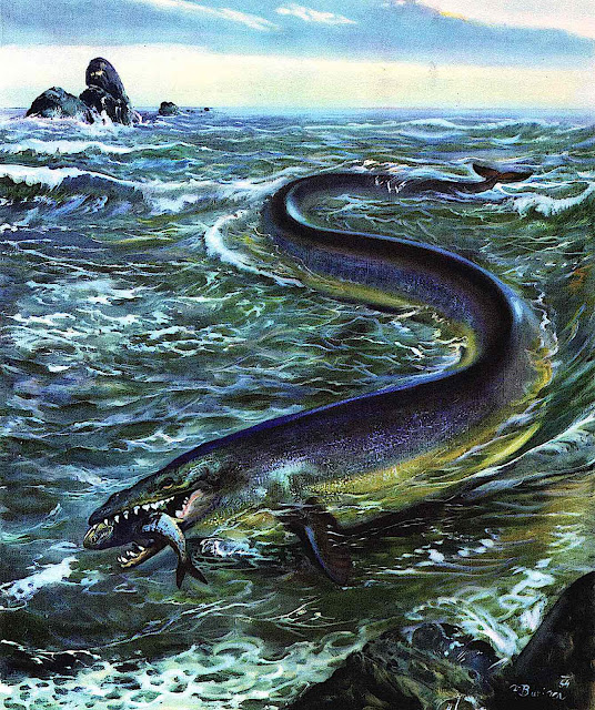 an Zdenek Burian illustration 1964 of a pre-historic sea monster