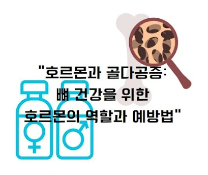 호르몬과 골다공증: 뼈 건강을 위한 호르몬의 역할과 예방법