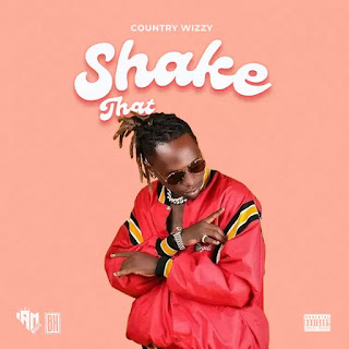 AUDIO Country Wizzy – Shake That Ass Mp3 Download