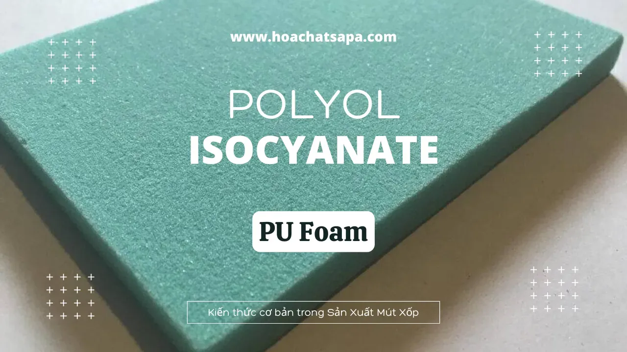 Kiến thức cơ bản về Polyol (Polypropylene Glycol - PPG) - TDI (Toluene diisocyanate)