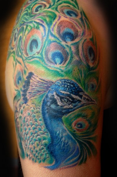 color peacock tattoo 
