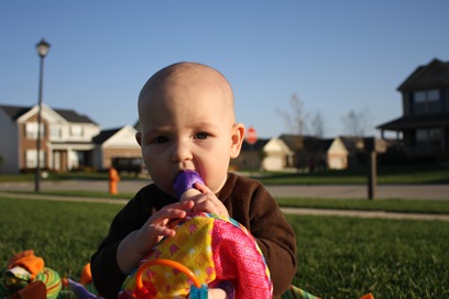 IMG_8090 IMG_8090