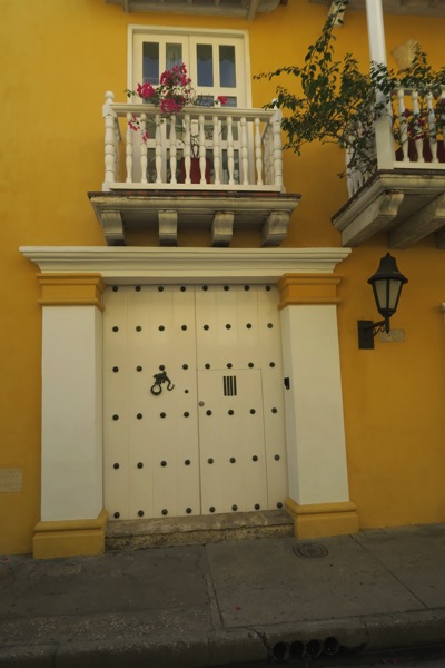 Iguana Door