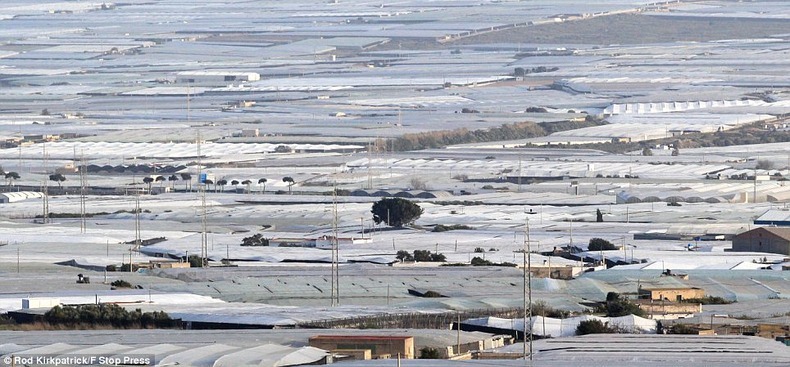 greenhouses-almeria-4